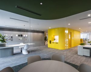 Interior Turnkey Project in Chandigarh
